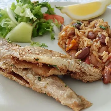 A Casa Da Rapariga De Cabelo Azul Daire