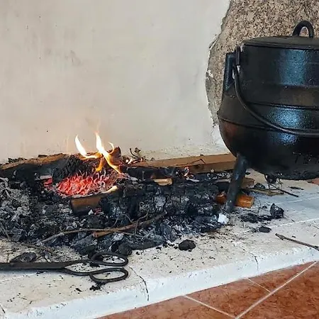 A Casa Da Rapariga De Cabelo Azul *
