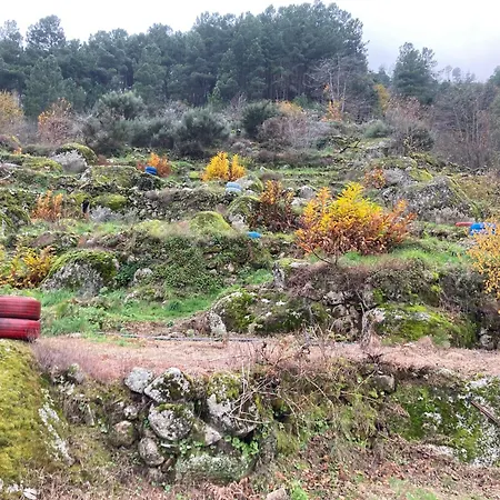 דירה A Casa Da Rapariga De Cabelo Azul