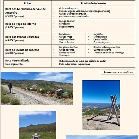 דירה A Casa Da Rapariga De Cabelo Azul מנטגאס