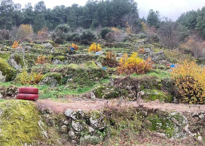 Apartament A Casa Da Rapariga De Cabelo Azul